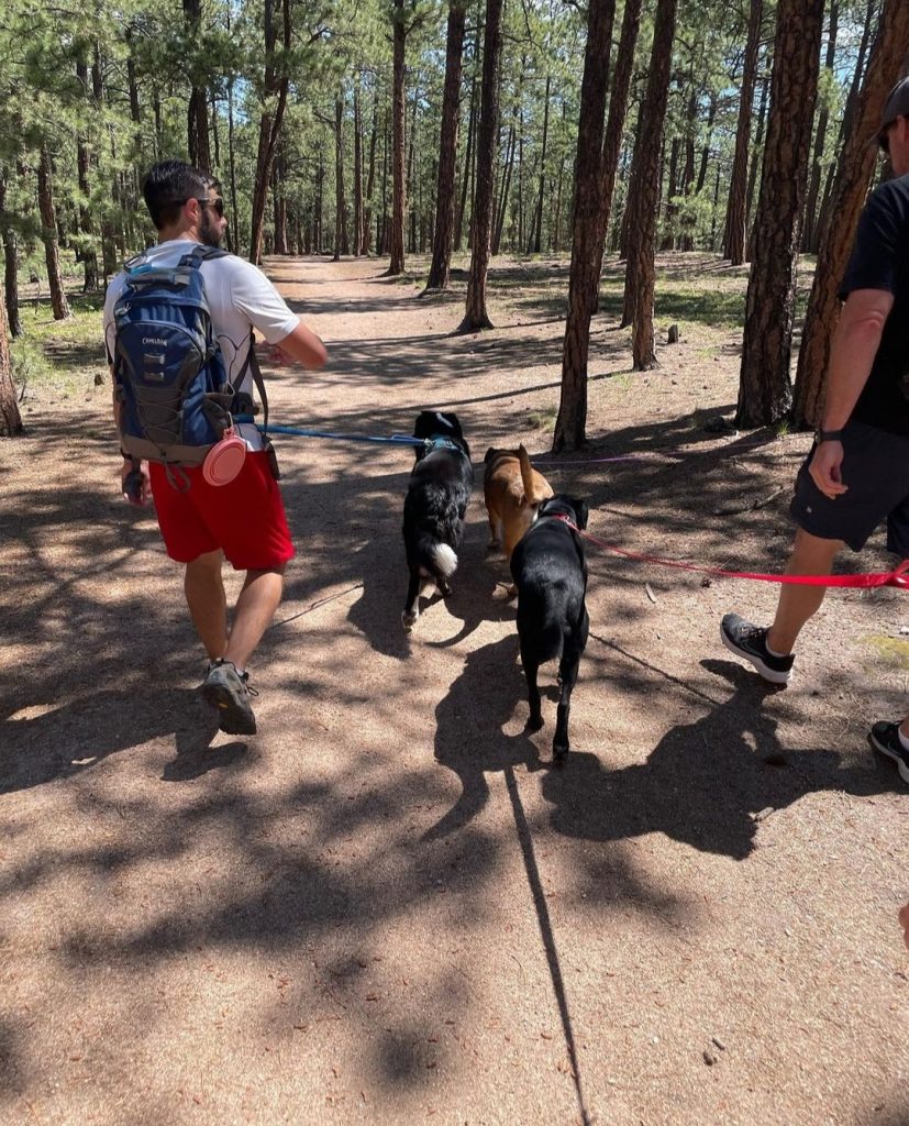 Dog Parks In Colorado Springs My Front Range Living