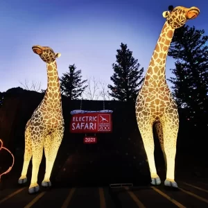 Electric Safari at Cheyenne Mountain Zoo in Colorado Springs